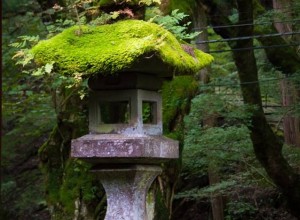 有了它，日式庭院，活了！ (30)