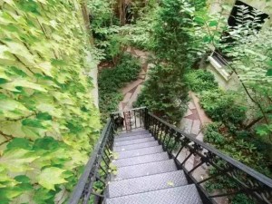 2015ASLA住宅設計類榮譽獎——美國布魯克林綠洲花園 (9)