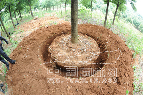 0e3fe3f5-c4f7-4bc3-afde-b7a7414c610c