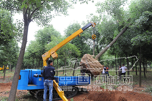 0044a3d1-89ce-44a7-8ef9-ac3b365c918a