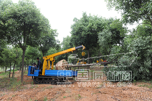 f87d1902-75c5-4d0b-b9b4-22107cf3b2bc