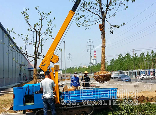 513d450b-339f-46d8-892b-7469e9a68806