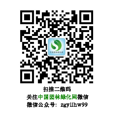 網(wǎng)站用二維碼