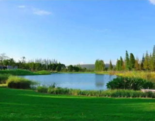 東方園林:水體治理“三位一體”技術樹行業標桿