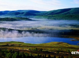 內蒙古赤峰黃崗梁國家森林公園