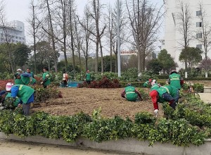 園林綠化施工管理有效策略分析