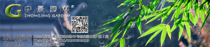 中景首頁橫幅廣告