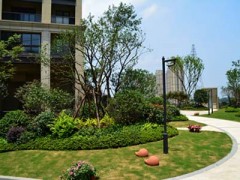 淺談制約園林工程質量的各種因素