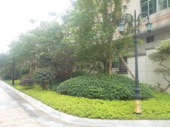 城市居住小區綠化探討