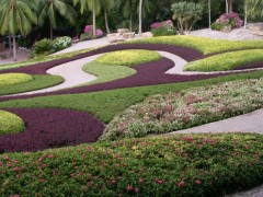 淺談地被植物在城市園林綠化中的應用