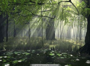 北大：水分對森林高度有“負效應”