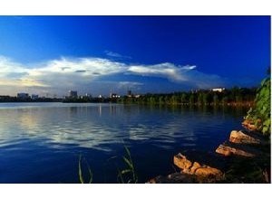 黃岡市遺愛湖風(fēng)景區(qū)管理處園區(qū)綠化養(yǎng)護(hù)招標(biāo)公告