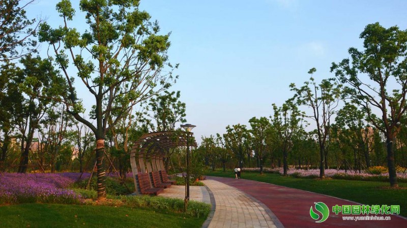 安慶康熙河項目 6