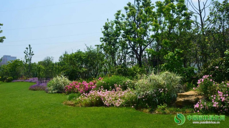 安慶康熙河項目8