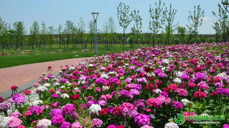 安慶康熙河項目9