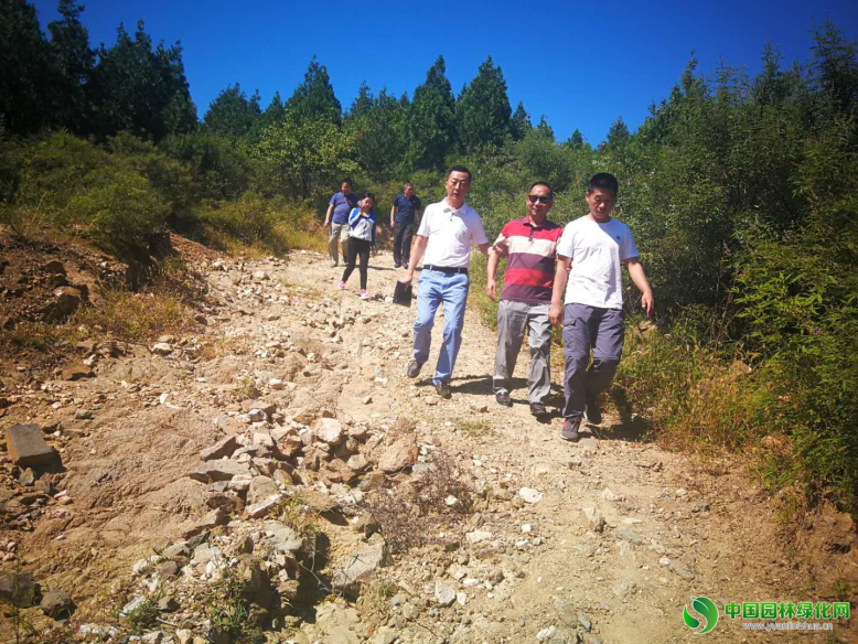 QQ截圖20180910173843