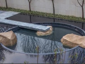 一腔赤誠只為守護，置石 (30)