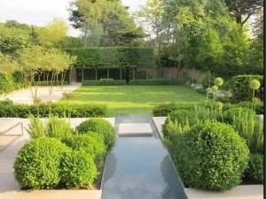 綠色帶給你好心情 (41)