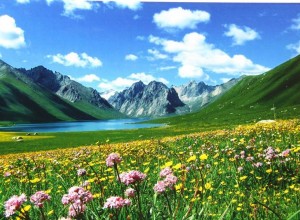 中國國家公園體系建設(shè)持續(xù)推進(jìn)