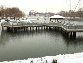 濟寧新造林32.3萬畝 市民暢享“綠色福利”