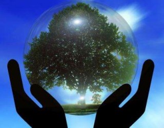 冷水江市林業(yè)局“12.4全國(guó)法制宣傳日”開(kāi)展林業(yè)政策法規(guī)宣傳