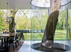 當(dāng)你的房子里有一顆樹 (30)