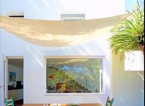 新的一年，請帶上陽光 (30)