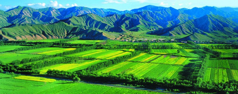 未標(biāo)題-1(675)