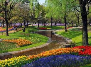 河南遂平縣林業(yè)局陽(yáng)豐街片林綠化苗木采購(gòu)項(xiàng)目競(jìng)爭(zhēng)性談判公告